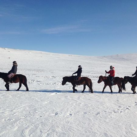 Nomad Horse Camp Guest House Nalayh Bagian luar foto