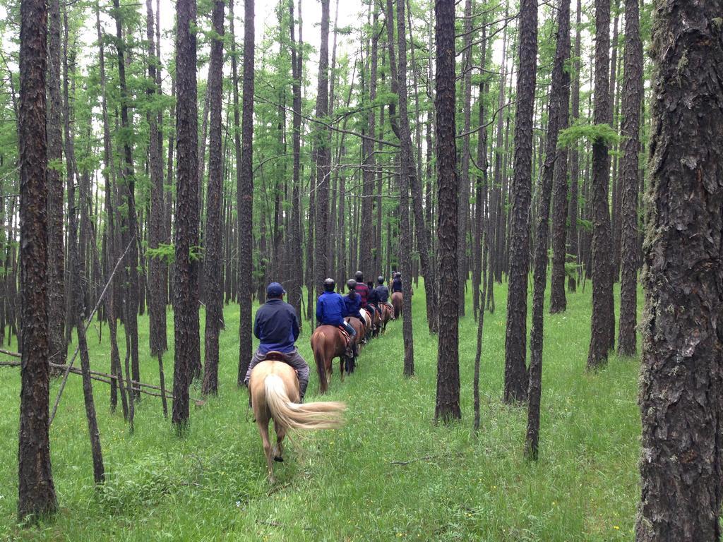 Nomad Horse Camp Guest House Nalayh Bagian luar foto