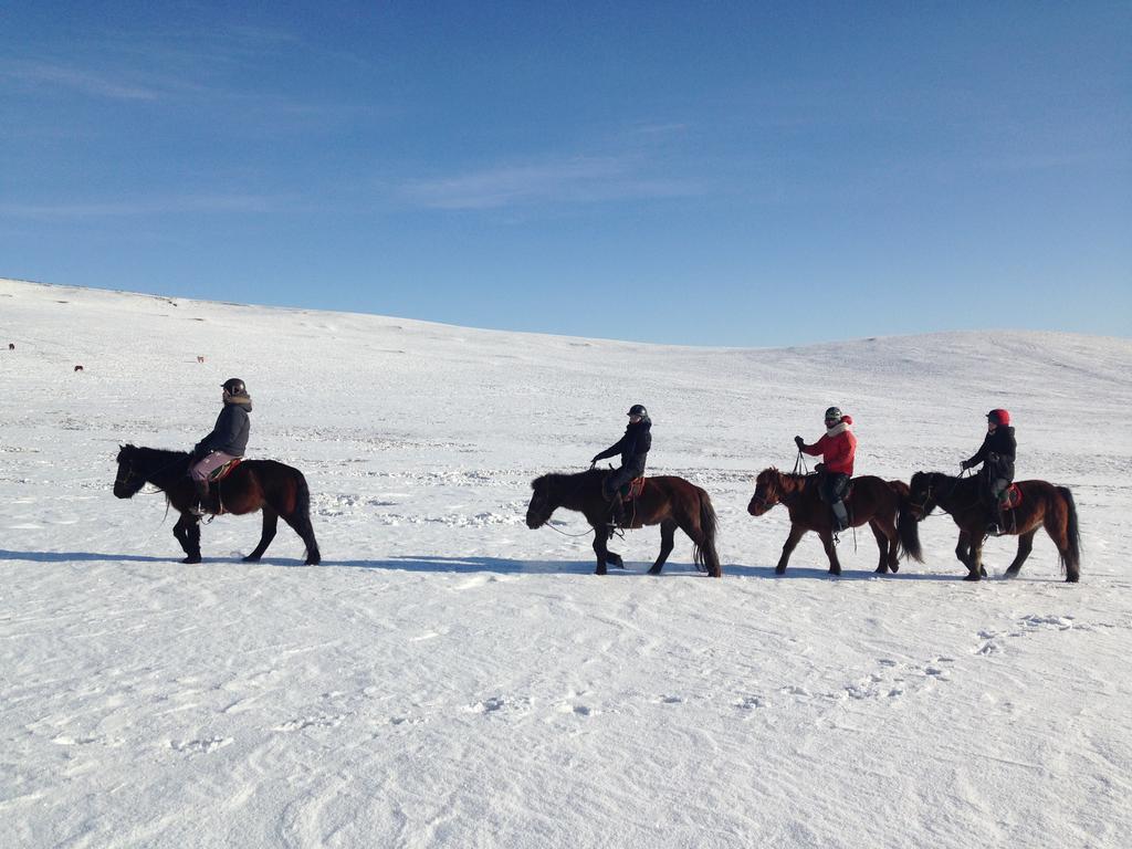Nomad Horse Camp Guest House Nalayh Bagian luar foto